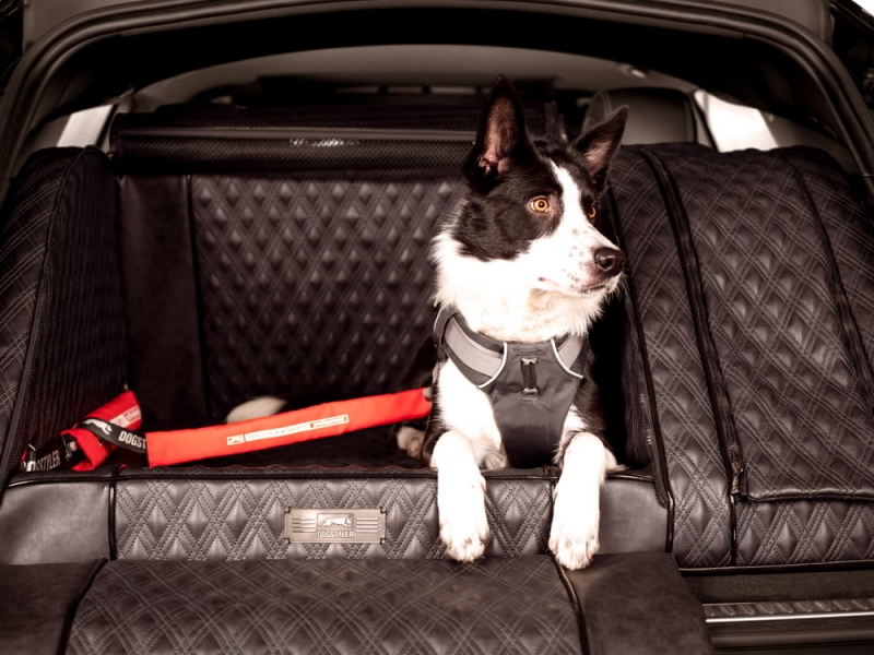 DOGSTYLER® Click & Safety PROFESSIONAL Hundesicherheits-Gurtsystem für Deinen Hund