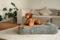 Dog cushion Kira Schwarz/Grün S