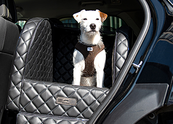 The DOGSTYLER® for the back seat EXCELSIOR in use