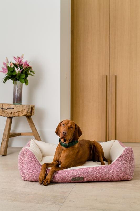 Das NEUE Dog Luxury HARRISON in der spannenden Kombi aus Stoff & Kunstleder