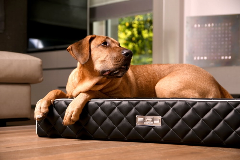 DOGSTYLER® Dog Lounger EXCELSIOR - Kein Ausbeulen der Seitenwänder mehr dank spezieller Rundung