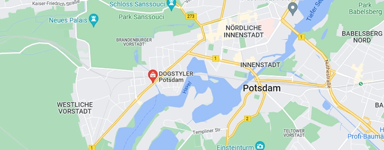 Jetzt direkt zum DOGSTYLER-Potsdam navigieren