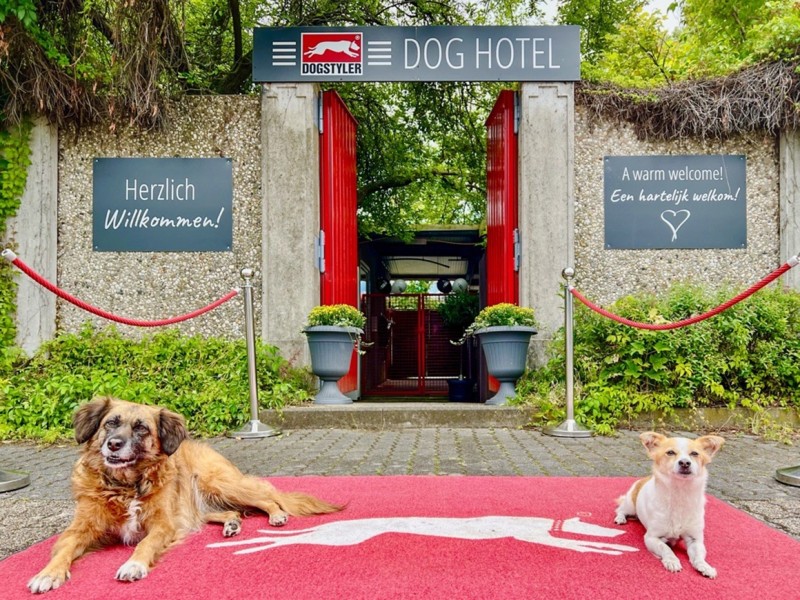 Das DOG HOTEL by DOGSTYLER im Movie Park Germany