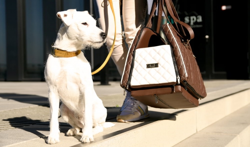 The stylish & practical dog carrier bag DOGSTYLER® Travel Bagger Coucher Excelsior in the colour "White Baron".