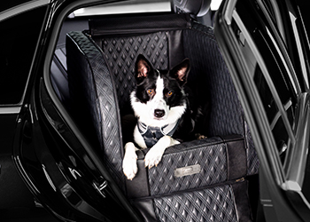 The DOGSTYLER® for the back seat DIAMOND in use