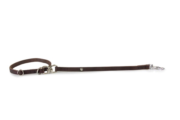 Short leash with collar Graz
