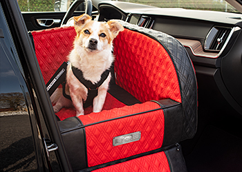 The DOGSTYLER® for the back seat DIAMOND in use