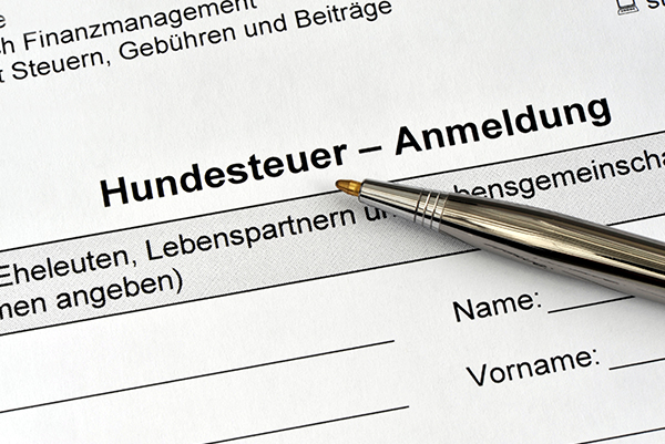 German dog tax - FAQ