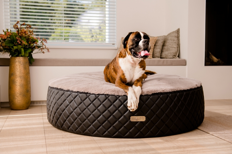 Der neue Dog Cozy Dot EXCELSIOR - der Donut als Hundebett von DOGSTYLER